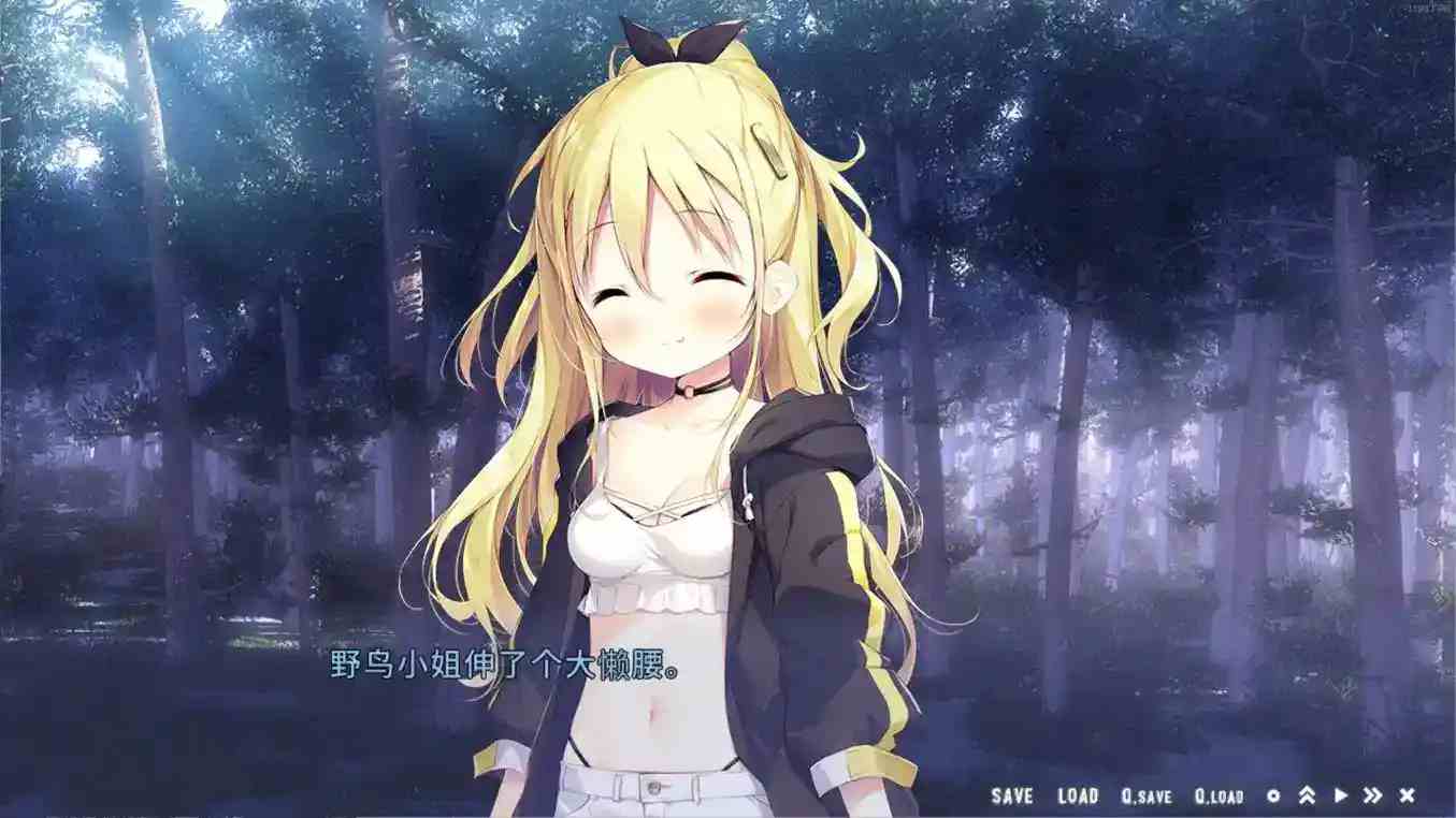 星空列车与白的旅行图片-3