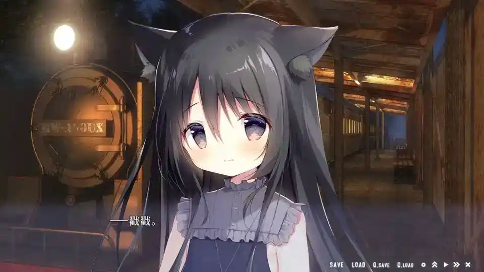 星空列车与白的旅行图片-5