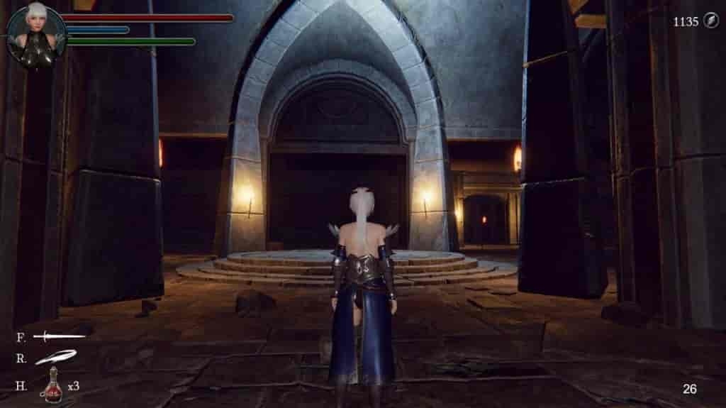 《地下城の女騎士：The Knight Girl And Dungeons》Ver25.01.23 Steam官中版：3D動態ACT+連招覚醒+3.3G極速下載圖片-2