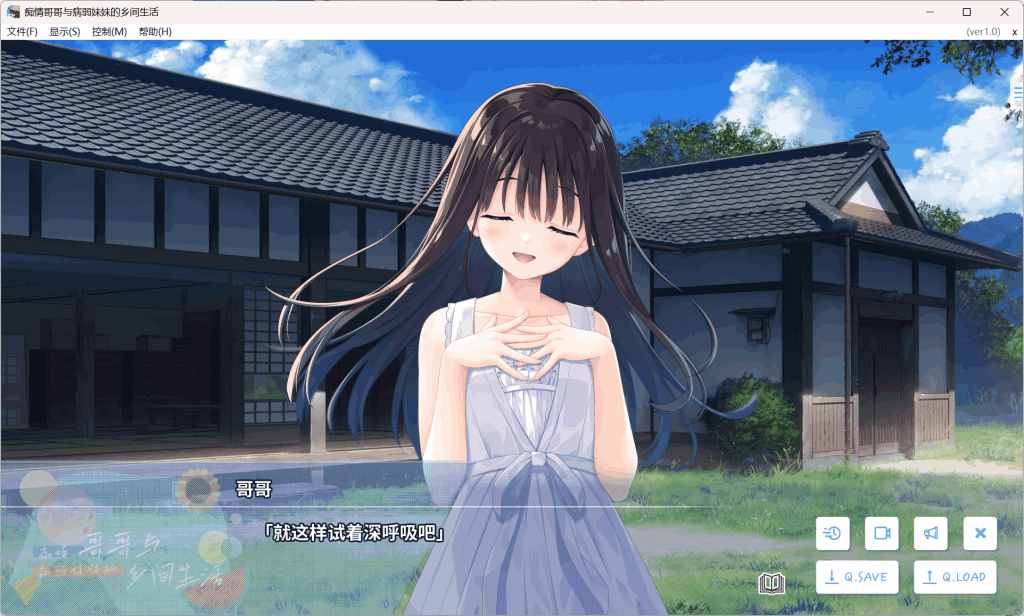 《痴情哥哥与病弱妹妹的乡间生活》官方中文版 RPG+全CG存档【3G/PC】图片-3