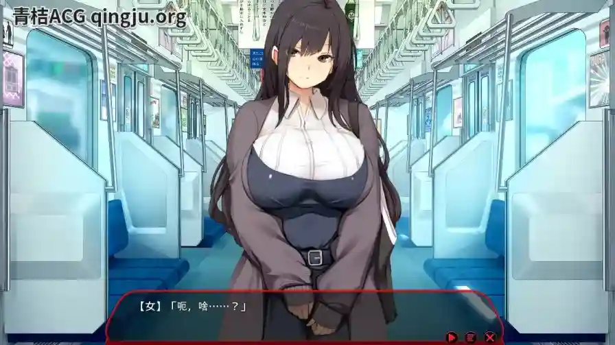 满车率300%≒／満車率300% 3≒Append.1 鉄板ギャル御乗車ぱっち+DLC1