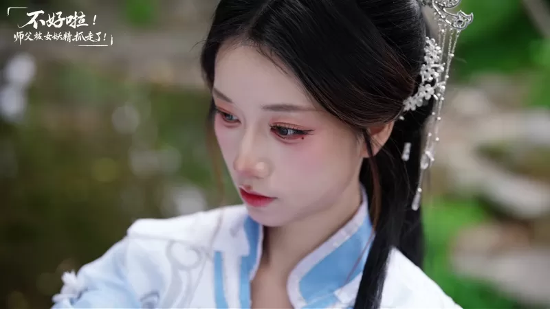《SIFU Kidnapped! Adventure in the Women's Kingdom》PC版 横版动作解谜冒险 高清2K重制版图片-6